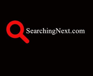 SearchingNext.com Logo